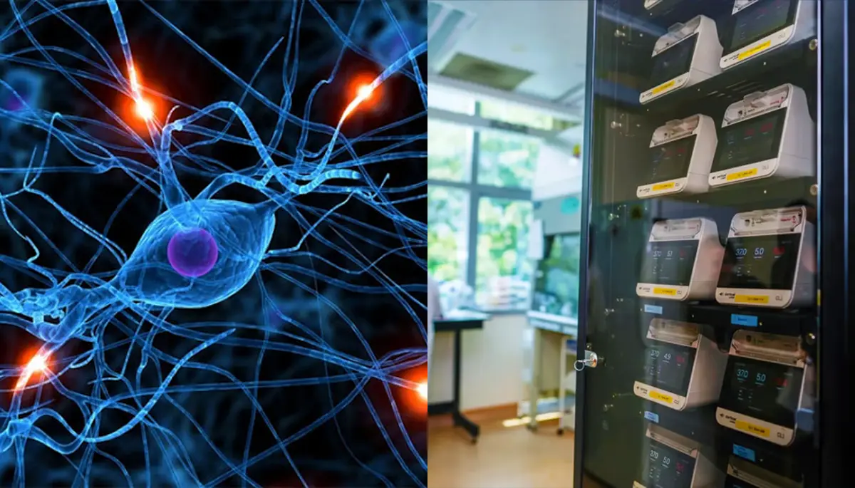 Neuronas humanas reemplazan a los chips en un nuevo centro de datos biológico